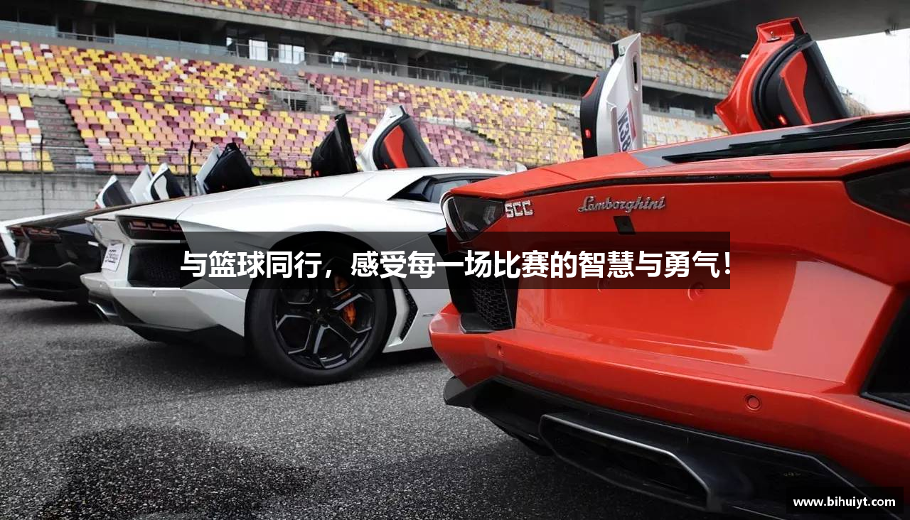 与篮球同行，感受每一场比赛的智慧与勇气！